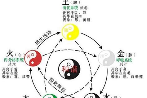 金土人|五行人格